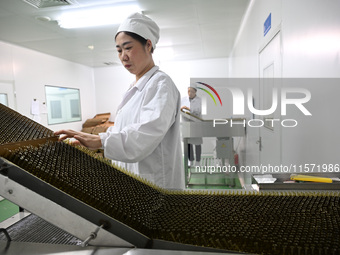 A worker places glass ampoules at a pharmaceutical company in Suqian, China, on September 13, 2024. (