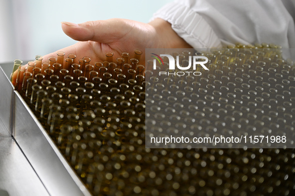 A worker places glass ampoules at a pharmaceutical company in Suqian, China, on September 13, 2024. 