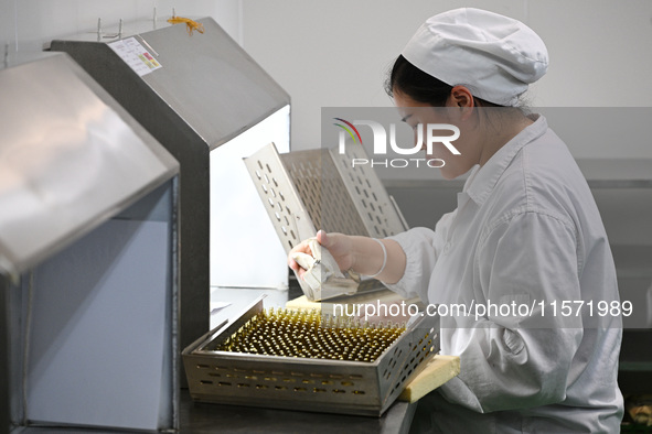 A worker tests diclofenac sodium injection at a pharmaceutical company in Suqian, China, on September 13, 2024. 