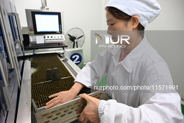 A worker places glass ampoules at a pharmaceutical company in Suqian, China, on September 13, 2024. 