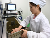 A worker places glass ampoules at a pharmaceutical company in Suqian, China, on September 13, 2024. (