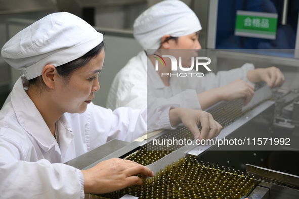 A worker checks a glass ampoule at a pharmaceutical company in Suqian, China, on September 13, 2024. 