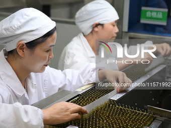 A worker checks a glass ampoule at a pharmaceutical company in Suqian, China, on September 13, 2024. (