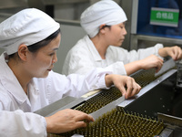 A worker checks a glass ampoule at a pharmaceutical company in Suqian, China, on September 13, 2024. (