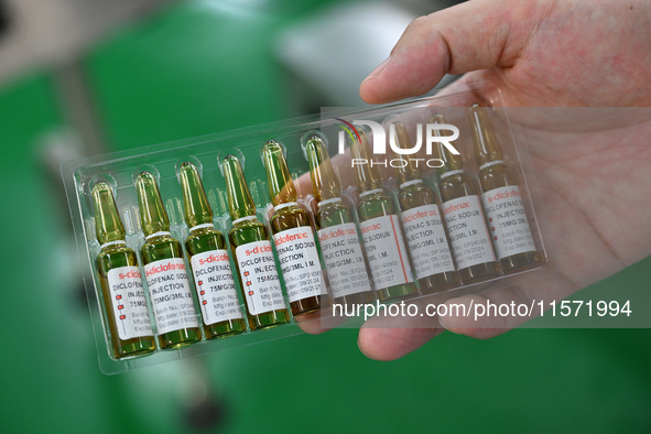 A worker shows a finished product of diclofenac sodium injection at a pharmaceutical company in Suqian, China, on September 13, 2024. 