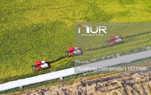 Villagers drive harvesters to harvest rice in a high-standard farmland in Chongqing, China, on September 13, 2024. 