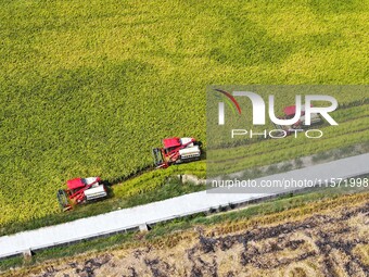 Villagers drive harvesters to harvest rice in a high-standard farmland in Chongqing, China, on September 13, 2024. (