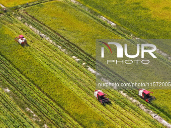 Villagers drive harvesters to harvest rice in a high-standard farmland in Chongqing, China, on September 13, 2024. (