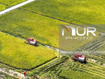 Villagers drive harvesters to harvest rice in a high-standard farmland in Chongqing, China, on September 13, 2024. (