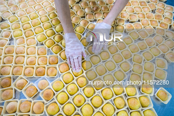 Workers make handmade mooncakes at a food production workshop in Bijie, China, on September 12, 2024. 