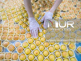 Workers make handmade mooncakes at a food production workshop in Bijie, China, on September 12, 2024. (