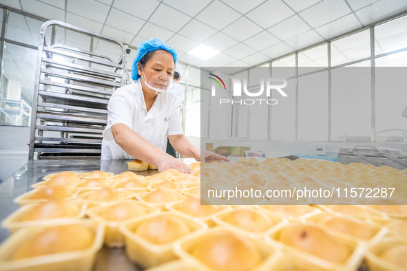 Workers make handmade mooncakes at a food production workshop in Bijie, China, on September 12, 2024. 