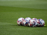 EFL match balls are present before the Sky Bet Championship match between Middlesbrough and Preston North End at the Riverside Stadium in Mi...