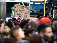 A protestor holds a placard reading ''it's your dicks that need to be filed away'' during a demonstration in support of Gisele Pelicot in Re...