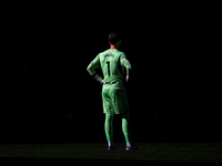 Antonio Sivera plays during the match between RCD Espanyol and Deportivo Alaves, corresponding to week 5 of LaLiga EA Sports, at the RCDE St...