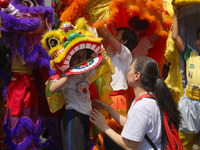 Members of the Chinese community in Sao Paulo, Brazil, gather in the city center to celebrate the Mid-Autumn Festival, an important cultural...