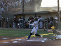 The Oakland Ballers (1) beat the Yolo High Wheelers (0) in game 2 (round 1) of the Pioneer Baseball League's playoffs in Oakland, Calif., on...