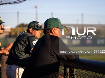 The Oakland Ballers (1) beat the Yolo High Wheelers (0) in game 2 (round 1) of the Pioneer Baseball League's playoffs in Oakland, Calif., on...