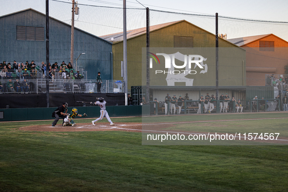 The Oakland Ballers (1) beat the Yolo High Wheelers (0) in game 2 (round 1) of the Pioneer Baseball League's playoffs in Oakland, Calif., on...