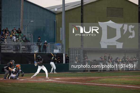 The Oakland Ballers (1) beat the Yolo High Wheelers (0) in game 2 (round 1) of the Pioneer Baseball League's playoffs in Oakland, Calif., on...