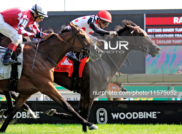 Jockey Rafael Hernandez rides And One More Time (7) to a win in the Johnnie Walker Natalma Stakes (Grade I) at Woodbine Racetrack in Toronto...