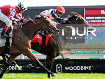 Jockey Rafael Hernandez rides And One More Time (7) to a win in the Johnnie Walker Natalma Stakes (Grade I) at Woodbine Racetrack in Toronto...