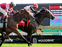 Jockey Rafael Hernandez rides And One More Time (7) to a win in the Johnnie Walker Natalma Stakes (Grade I) at Woodbine Racetrack in Toronto...