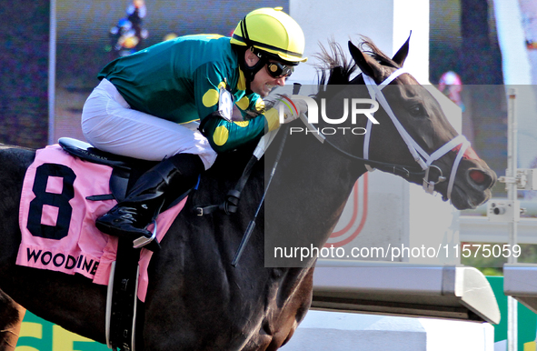 Jockey David Moran rides Fashionably Fab to a win in the Ontario Matron Stakes (Grade III) at Woodbine Racetrack in Toronto, Canada, on Sept...