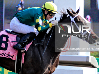 Jockey David Moran rides Fashionably Fab to a win in the Ontario Matron Stakes (Grade III) at Woodbine Racetrack in Toronto, Canada, on Sept...