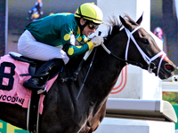 Jockey David Moran rides Fashionably Fab to a win in the Ontario Matron Stakes (Grade III) at Woodbine Racetrack in Toronto, Canada, on Sept...