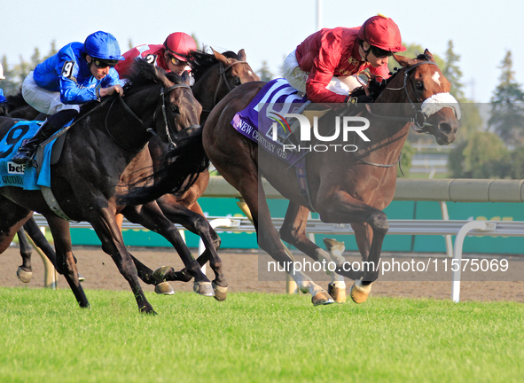 Jockey Oisin Murphy rides New Century (10) to a win in the bet365 Summer Stakes (Grade I) at Woodbine Racetrack in Toronto, Canada, on Septe...