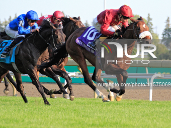 Jockey Oisin Murphy rides New Century (10) to a win in the bet365 Summer Stakes (Grade I) at Woodbine Racetrack in Toronto, Canada, on Septe...