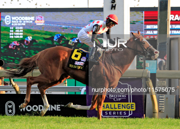 Jockey Patrick Husbands rides Win for the Money to a win in the $1,000,000 Rogers Woodbine Mile Stakes (Grade I) at Woodbine Racetrack in To...