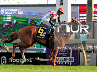 Jockey Patrick Husbands rides Win for the Money to a win in the $1,000,000 Rogers Woodbine Mile Stakes (Grade I) at Woodbine Racetrack in To...