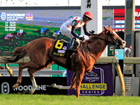 Jockey Patrick Husbands rides Win for the Money to a win in the $1,000,000 Rogers Woodbine Mile Stakes (Grade I) at Woodbine Racetrack in To...