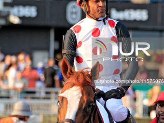 Jockey Patrick Husbands rides Win for the Money to the winner's circle following a win in the $1,000,000 Rogers Woodbine Mile Stakes (Grade...