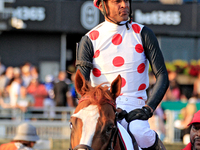 Jockey Patrick Husbands rides Win for the Money to the winner's circle following a win in the $1,000,000 Rogers Woodbine Mile Stakes (Grade...