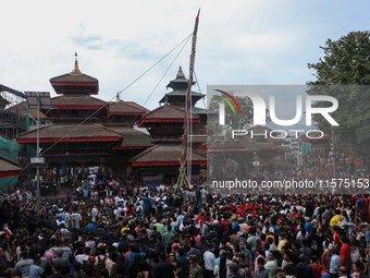 Nepali Hindu devotees erect a sacred pole locally called ''Ya:Shi,'' marking the formal start of Indra Jatra, a fair dedicated to the Hindu...