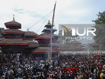 Nepali Hindu devotees erect a sacred pole locally called ''Ya:Shi,'' marking the formal start of Indra Jatra, a fair dedicated to the Hindu...