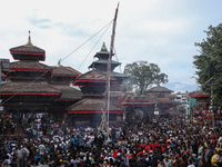 Nepali Hindu devotees erect a sacred pole locally called ''Ya:Shi,'' marking the formal start of Indra Jatra, a fair dedicated to the Hindu...