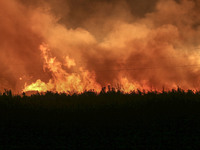 Fire crews work to put out a fire at a wood processing plant in Duzhuang village, Wan'an Town, Xinjiang County, Yuncheng City, North China's...