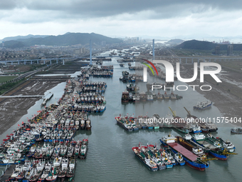 A large number of fishing boats moor at Shenjiamen Fishing Port to avoid Typhoon Bebinca in Zhoushan, China, on September 15, 2024. (