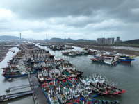 A large number of fishing boats moor at Shenjiamen Fishing Port to avoid Typhoon Bebinca in Zhoushan, China, on September 15, 2024. (