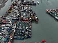 A large number of fishing boats moor at Shenjiamen Fishing Port to avoid Typhoon Bebinca in Zhoushan, China, on September 15, 2024. (