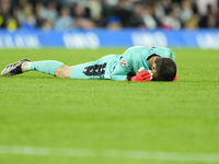 Alex Remiro goalkeeper of Real Sociedad and Spain reacts during the La Liga match between Real Sociedad de Futbol and Real Madrid CF at Real...