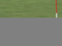 GAINESVILLE, VIRGINIA - SEPTEMBER 14: Lexi Thompson of the United States putts on the 14th green during Day Two of the Solheim Cup at Robert...