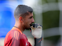 Mattia Perin of Juventus FC looks on during the Serie A Enilive match between Empoli FC and Juventus FC at Stadio Carlo Castellani on Septem...