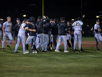 The Yolo High Wheelers celebrate advancing to the Pioneer Baseball League's championship series with their 6 to 4 win over the Oakland Balle...