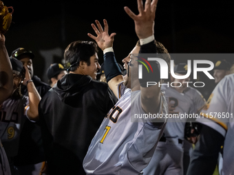 The Yolo High Wheelers celebrate advancing to the Pioneer Baseball League's championship series with their 6 to 4 win over the Oakland Balle...