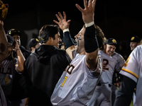 The Yolo High Wheelers celebrate advancing to the Pioneer Baseball League's championship series with their 6 to 4 win over the Oakland Balle...